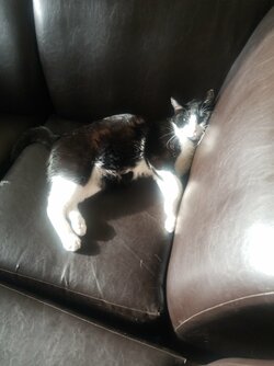 20210403_183404.jpeg