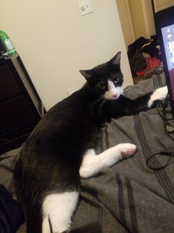20210406_173904.jpeg