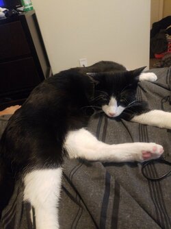 20210406_174232.jpeg