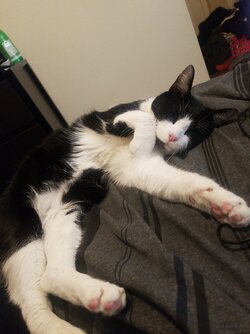 20210406_175059.jpeg