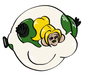 r60fanart8.png