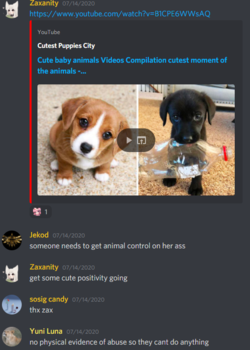 1628243271051.png