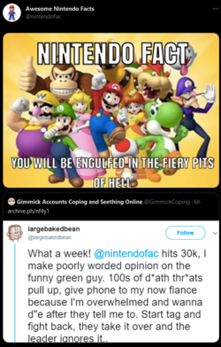 @nintendofac CASO.png