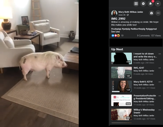 mary beth janke house pet pig.png