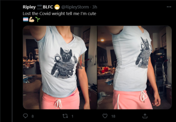 Screenshot 2021-08-08 at 00-33-36 Tweets with replies by Ripley 🔜BLFC 😷 ( RipleyStorm) Twitter.png
