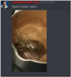 hamster.png