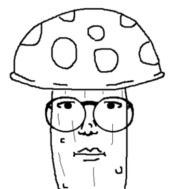1628537426417.png