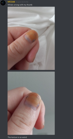 1628561682580.png