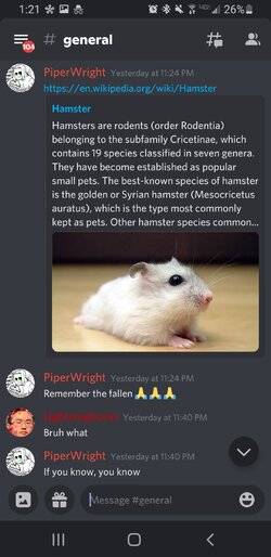 Screenshot_20210810-012143_Discord-Beta.jpg