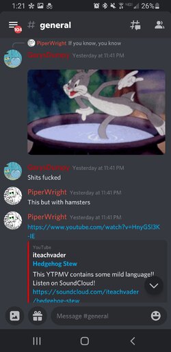 Screenshot_20210810-012152_Discord-Beta.jpg