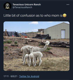 072F4164-2423-4384-9293-DF681E3F15BC.jpeg