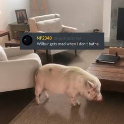 kek.png
