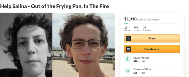 Screenshot 2021-08-11 at 19-35-15 Help Salina - Out of the Frying Pan, In The Fire, organized ...png