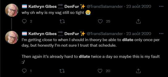Screenshot 2021-08-12 at 17-44-05 (dilate) (from TransSalamander) - Recherche sur Twitter Twit...png