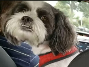buster fu jpg.jpg