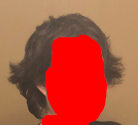hairs.png