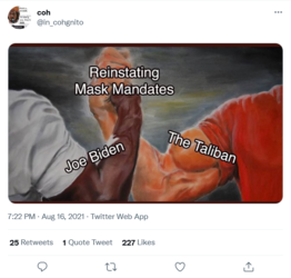 1629200892977.png