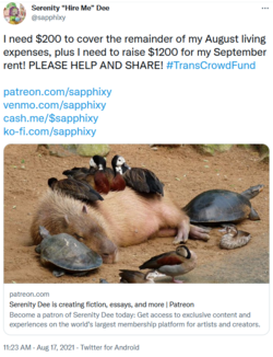 1.PNG