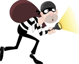 burglar.jpg