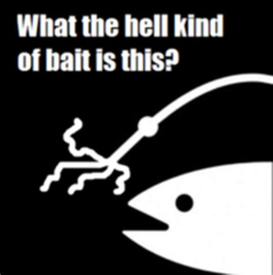 1629264019178.png