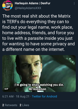 68493973.png