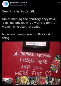 1629314540289.png