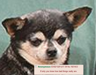 SUFFERING.png