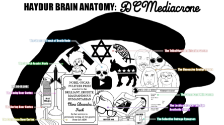 Haydur Brain Anatomy - DC Mediagirl.png