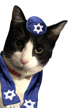 jewber.png