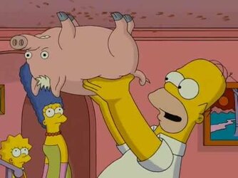 spider-pig.jpg