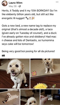 477C36DB-A87D-40FC-9EF7-1E6C05341E05.jpeg