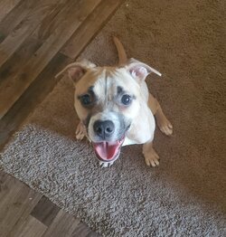 pibblekingpeanut.jpg