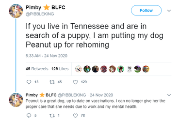 pibblekingrehomingpeanut.png