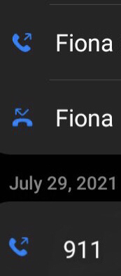 fake911.png