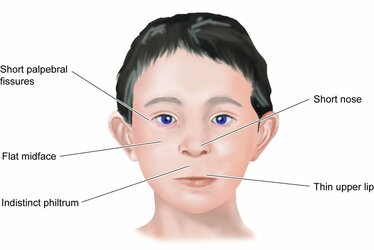 FAS-face-1024x685.jpg