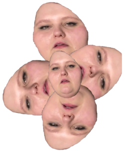 flowers-removebg-preview.png