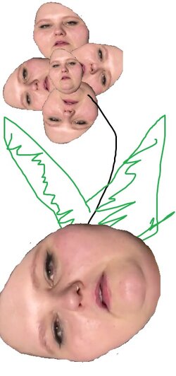 flowers2.jpg