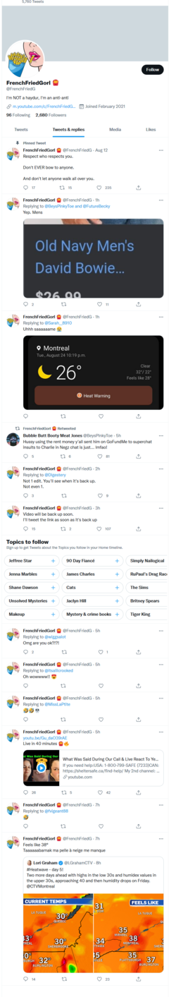 Screenshot_2021-08-25 Tweets with replies by FrenchFriedGorl 🍟 ( FrenchFriedG) Twitter.png