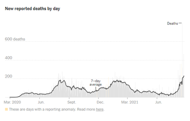Florida Death Count NYT 2021-08-25.png