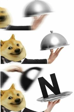 apiuxtgpcrh71.jpg