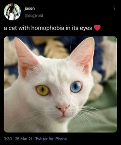 B13C5FFC-6C65-47D0-BA36-E8F6A97721EB.jpeg