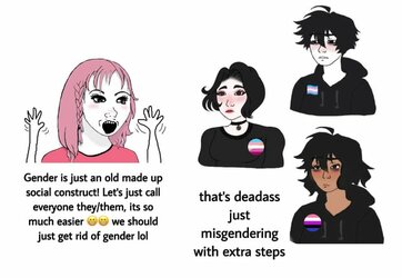 misgenderingiscool.jpeg