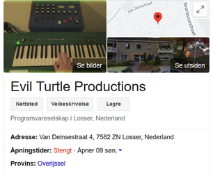 googleevilturtle.png