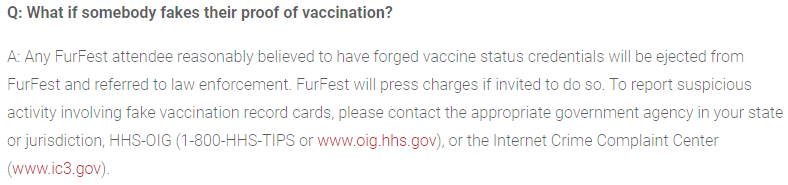 mff2021.png