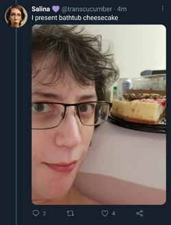 5748284u.png