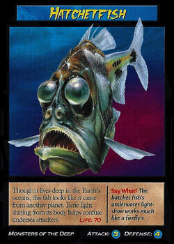 Hatchetfish.jpg