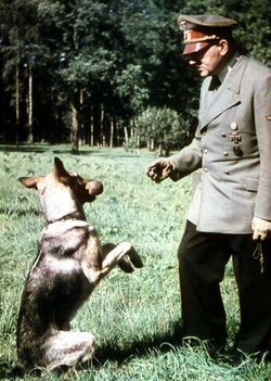 Hitler und Blondi.jpg