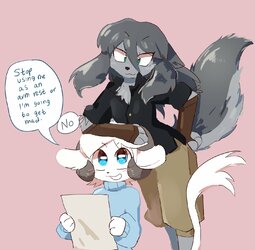fiddleS2.jpg