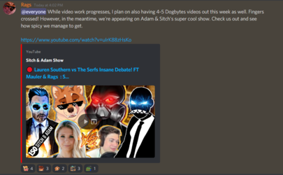 RagsDebate.png