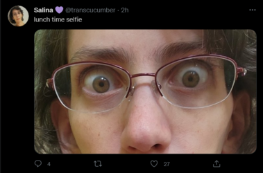 Screenshot 2021-08-30 at 01-24-43 Tweets with replies by Salina 💜 ( transcucumber) Twitter.png